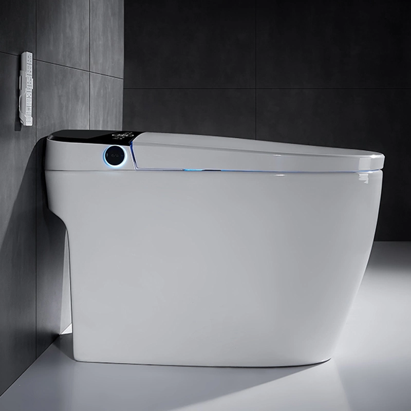 Modern Bathroom Intelligent Products Electrical Sanitary Ware Smart Toilet